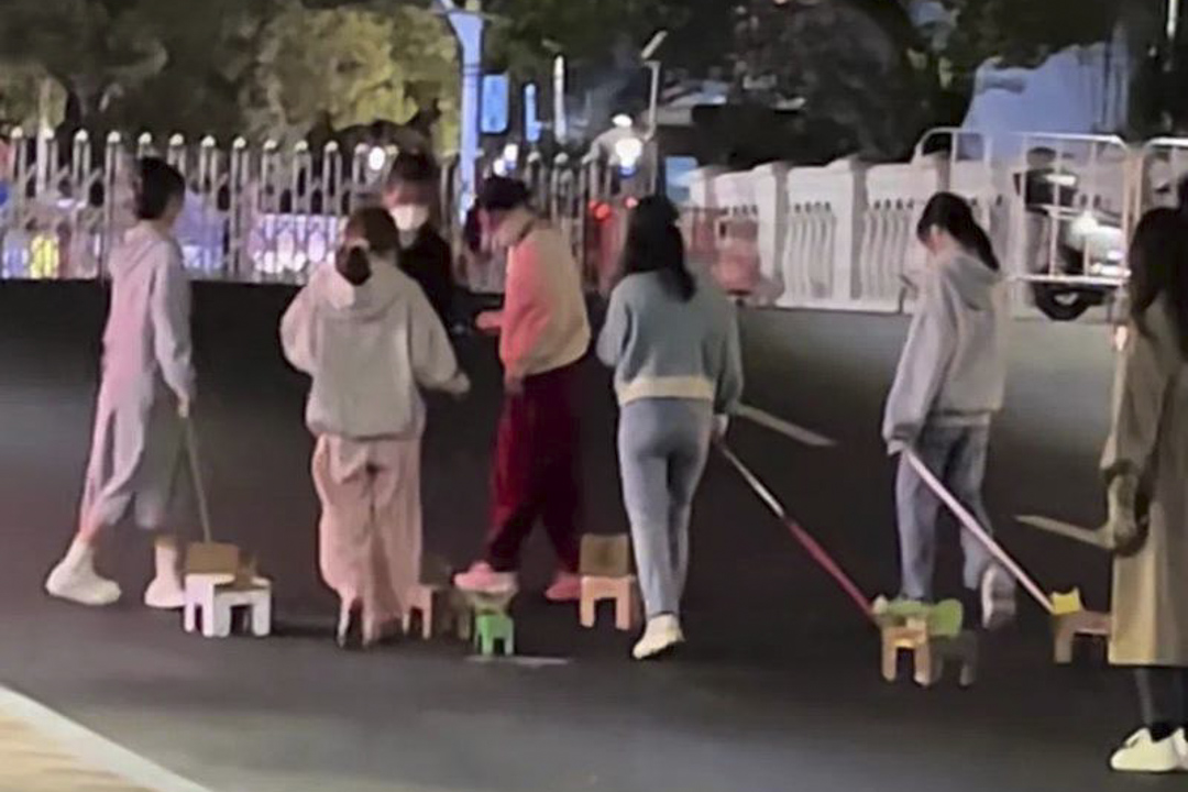 中國內地大學生們近日流行養「紙箱狗」紓壓的風潮。